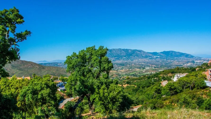 Villa de 4 dormitorios en Marbella, Spain No. 246 № 4