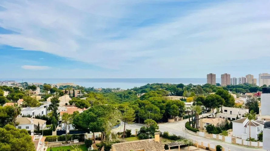 Apartamento de 2 dormitorios en Dehesa De Campoamor, España No. 946 № 27