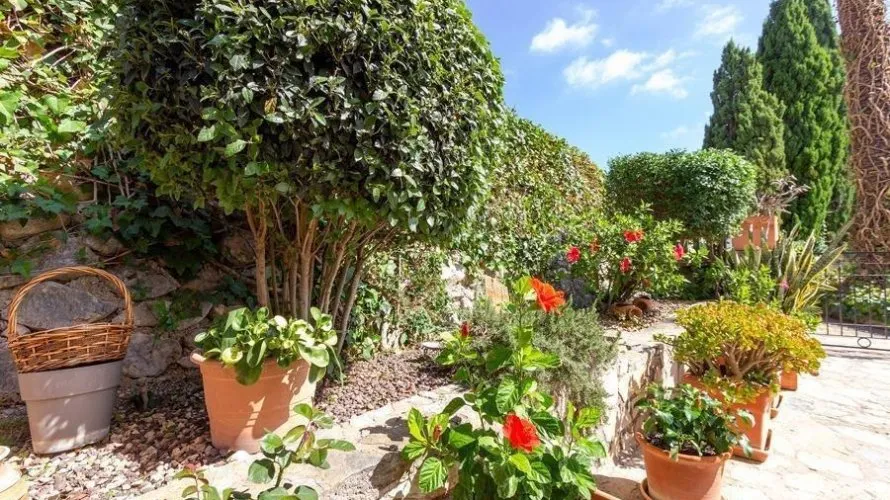 Apartamento de 4 dormitorios en Finestrat, España No. 1259 № 12