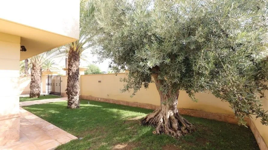Apartamento de 4 dormitorios en Cabo Roig, España No. 1177 № 26