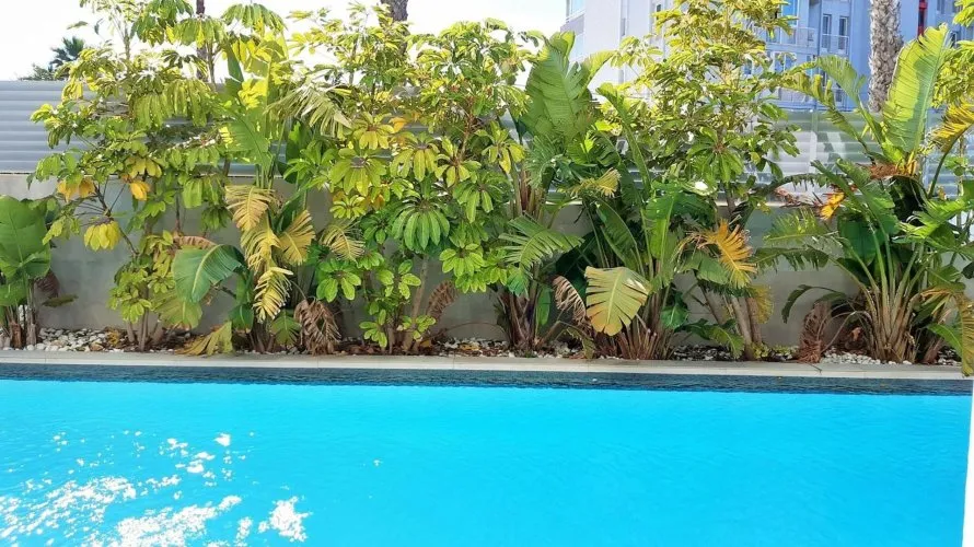 Apartamento de 3 dormitorios en Calpe, Spain No. 596