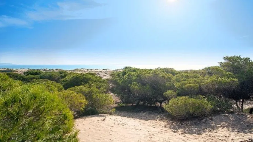 Apartamento de 3 dormitorios en La Marina, España No. 1389 № 3