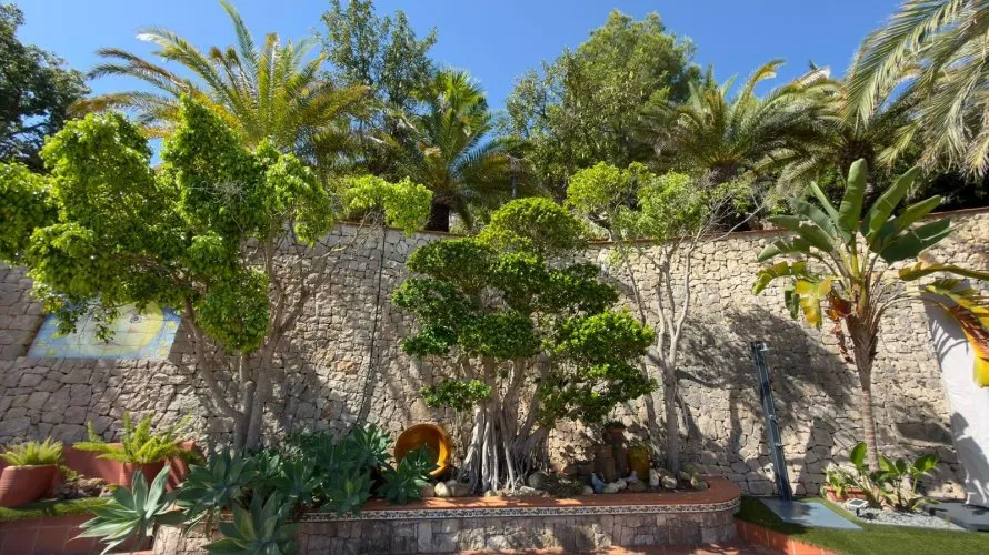 Villa de 4 dormitorios en La Pedrera, España No. 1486 № 21