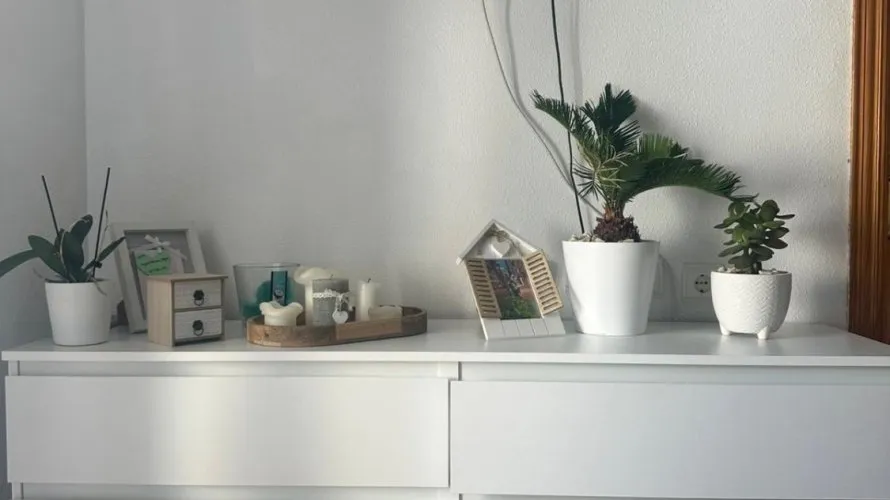 Apartamento de 1 dormitorio en Torrevieja, España No. 1576 № 2