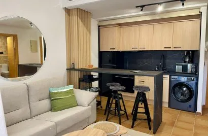 Apartamento de 1 dormitorio en Villanueva Rio Segura, España No. 1539