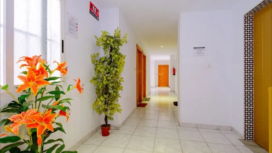 Apartamento de 1 dormitorio en Torrevieja, España No. 1837 № 6