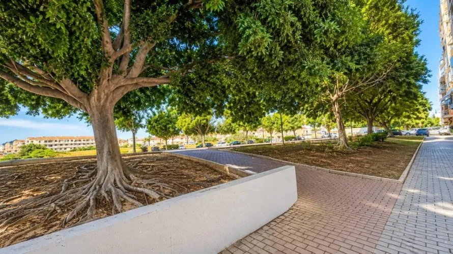 Apartamento de 2 dormitorios en Torrevieja, España No. 1818 № 1