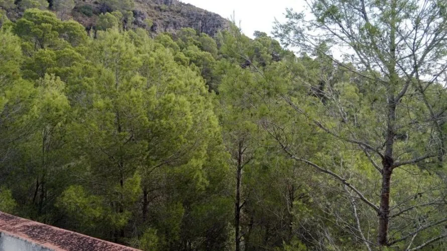 Apartamento de 4 dormitorios en Almisera, España No. 1793 № 4