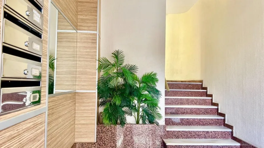 Apartment de 3 chambres à Torrevieja, Espagne No. 593 № 23