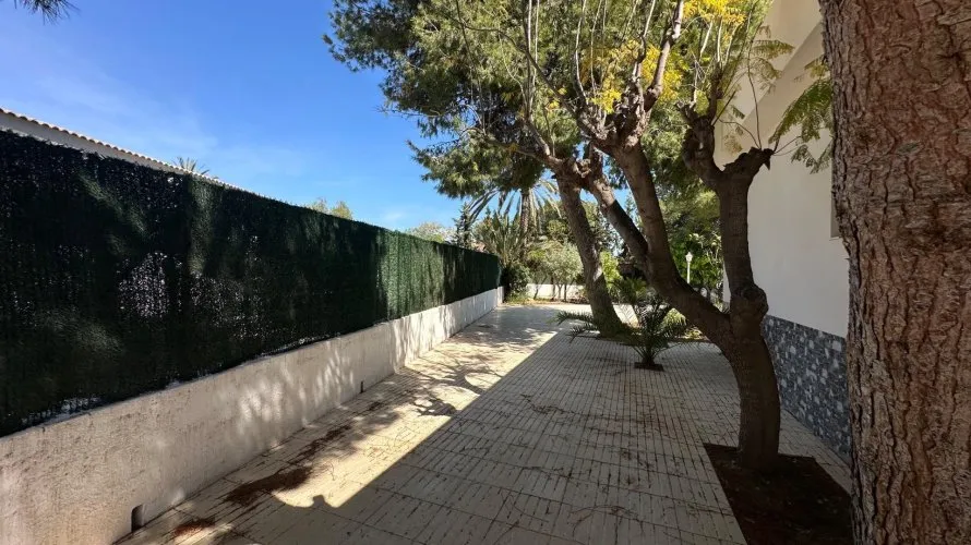 Villa de 5 chambres à San Vicente del Raspeig, Espagne No. 1312 № 15
