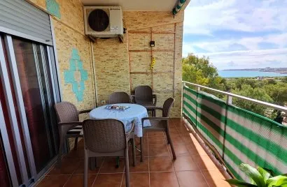Apartment de 2 chambres à Torrevieja, Spain No. 1265