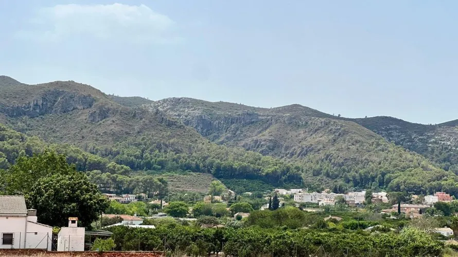 Apartment de 400m² à Alzira, Espagne No. 1404 № 14