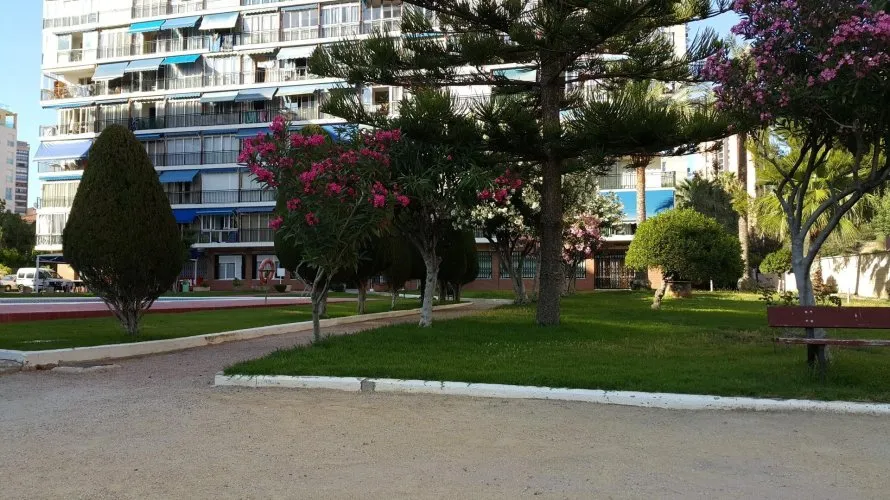 Apartment de 29m² à Finestrat, Espagne No. 1559 № 26