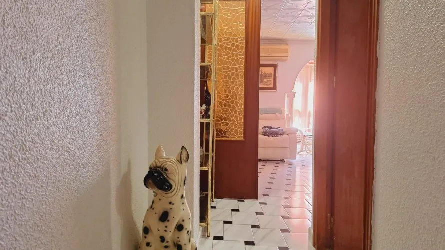 Apartment de 1 chambre à Torrevieja, Espagne No. 1570 № 5