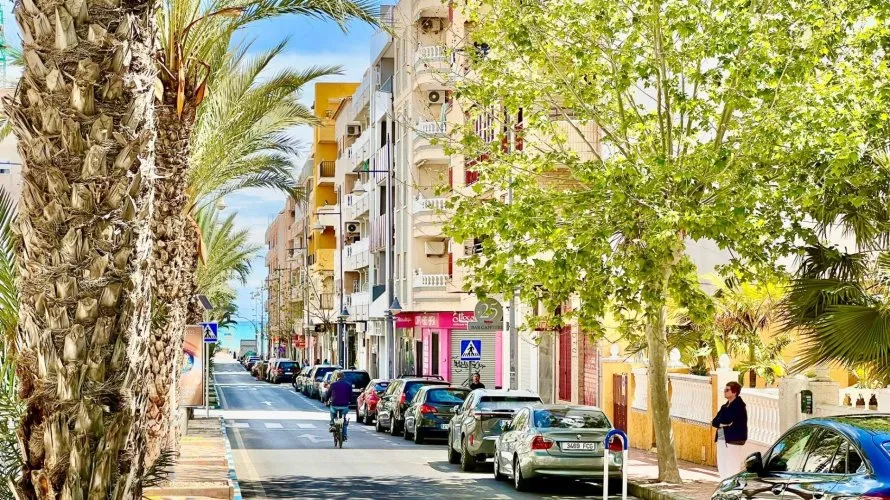 Apartment de 2 chambres à Torrevieja, Espagne No. 1586 № 28