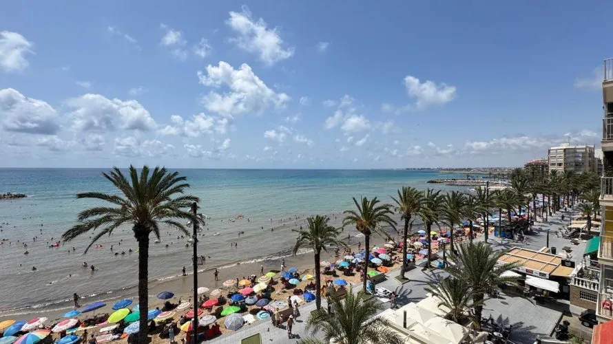Apartment de 3 chambres à Torrevieja, Espagne No. 1449 № 16