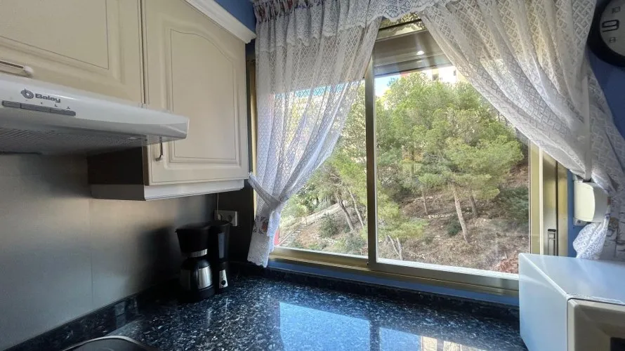Apartment de 3 chambres à Benidorm, Espagne No. 1464 № 19