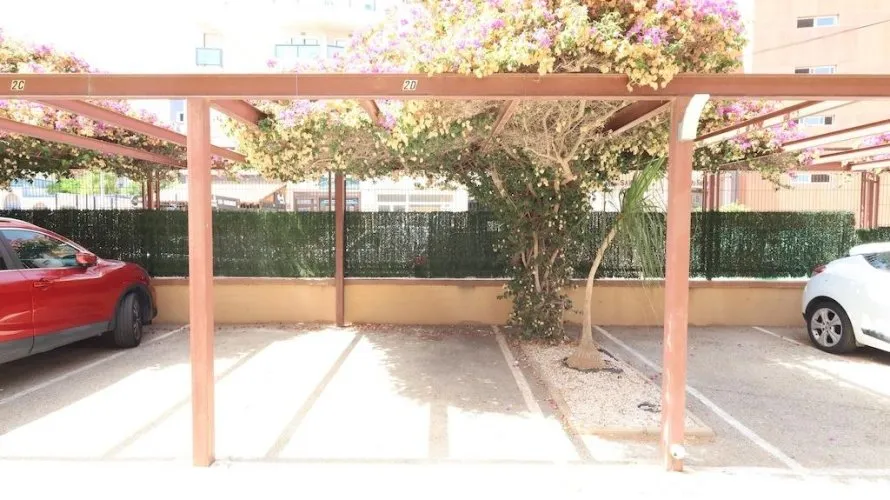 Apartment de 2 chambres à Alicante, Espagne No. 1701 № 5