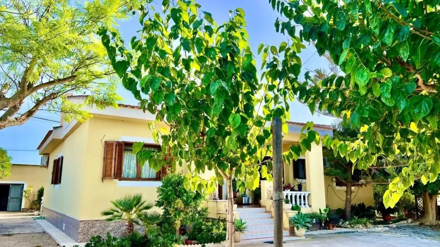 Villa de 3 chambres à Daya Vieja, Espagne No. 1713 № 21