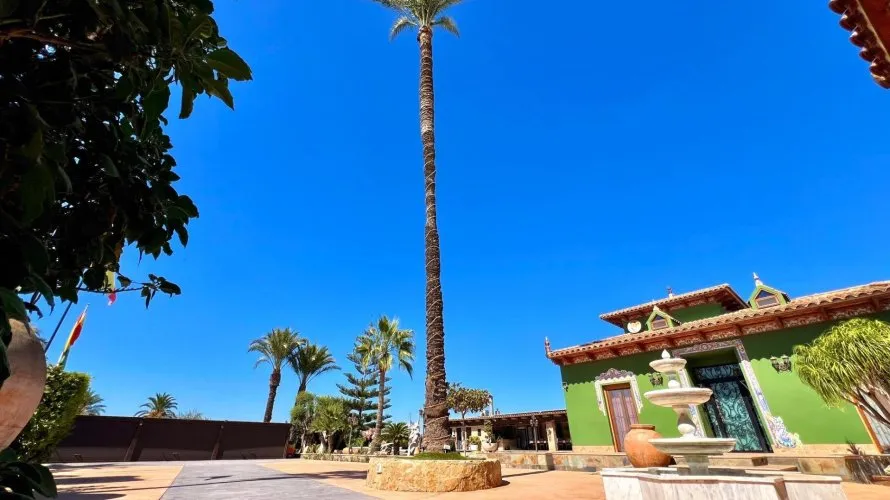 Villa de 4 chambres à Almoradi, Espagne No. 1754 № 24