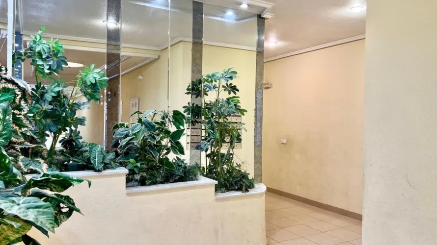 Apartment de 1 chambre à Torrevieja, Espagne No. 1794 № 27