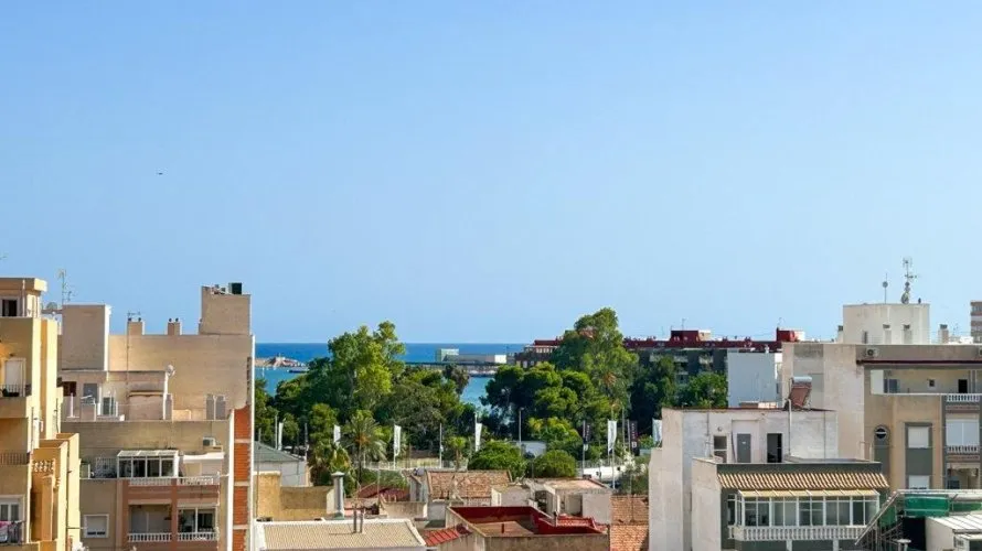 Penthouse de 1 chambre à Torrevieja, Espagne No. 1810 № 18