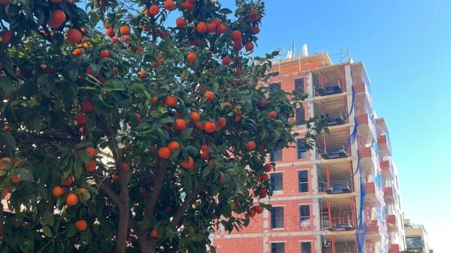1 bedroom apartment for sale, Valencia, Spain No. 582 № 10