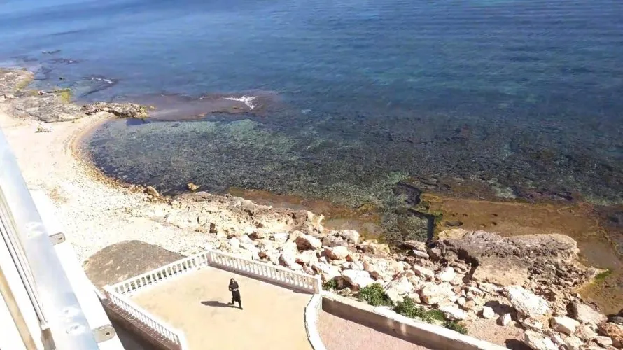 4 bedrooms apartment for sale, Torrevieja, Spain No. 562 № 22