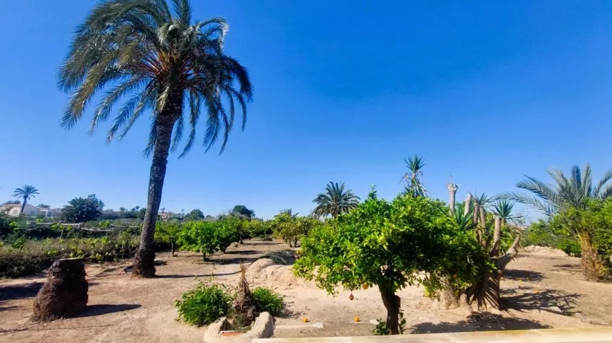 5 bedrooms house for sale, La Marina, Spain No. 1424 № 8