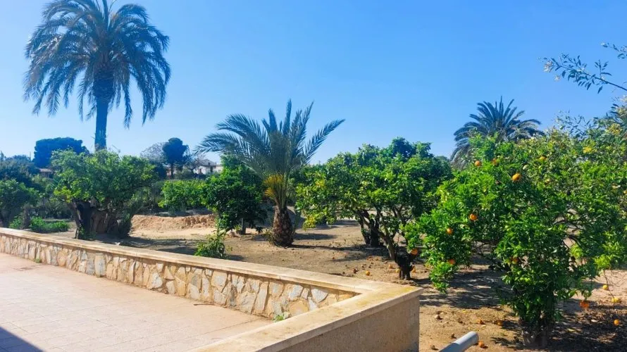 5 bedrooms house for sale, La Marina, Spain No. 1424 № 9