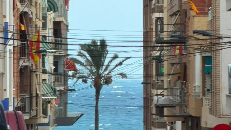1 bedroom apartment for sale, Torrevieja, Spain No. 1762 № 24
