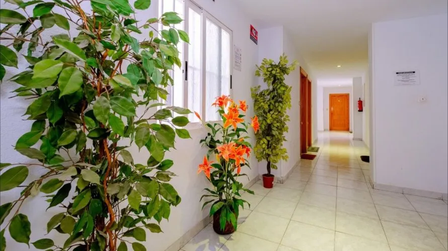 1 bedroom apartment for sale, Torrevieja, Spain No. 1837 № 8