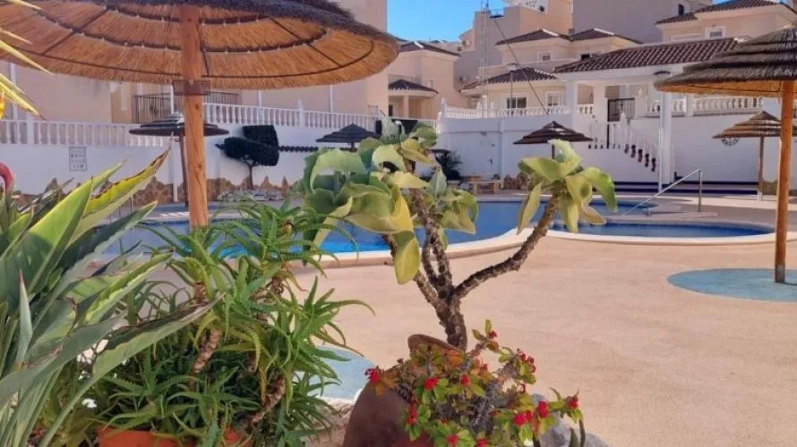 2 bedrooms duplex for sale, San Miguel de Salinas, Spain No. 1829 № 10